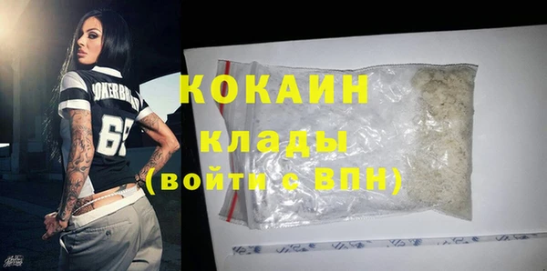 шишки Горнозаводск