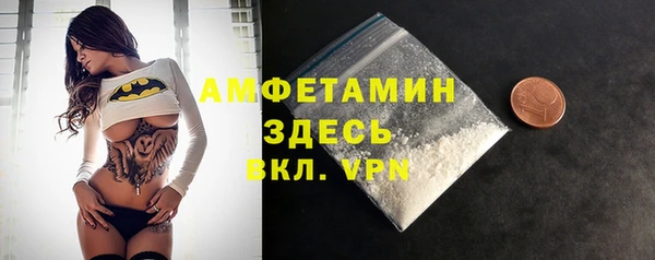 шишки Горнозаводск