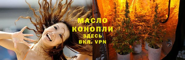 ГАЛЛЮЦИНОГЕННЫЕ ГРИБЫ Вяземский
