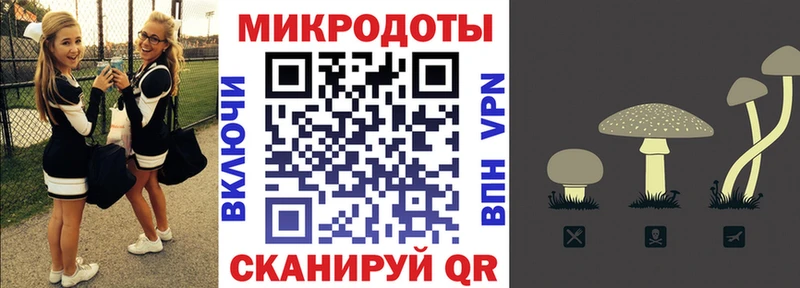 Псилоцибиновые грибы прущие грибы  купить  цена  мега ссылка  Енисейск 